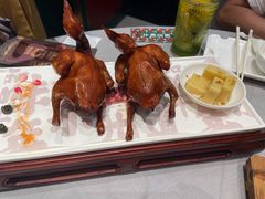 -大鸽饭(体育西路店)