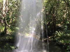-绿光森林餐厅