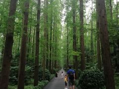 -上海怡沁园度假酒店