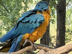 -北京野生动物园