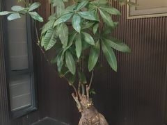 -阿伟海鲜楼·福建菜(涵江店)