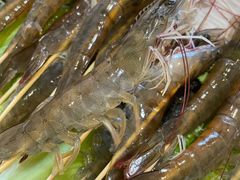 串串虾-御膳粥·牛乳粥底火锅·地道顺德菜(容桂店)