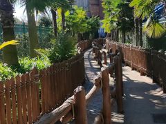 -七彩云南欢乐世界