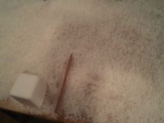 android_upload_pic-21cake廿一客蛋糕