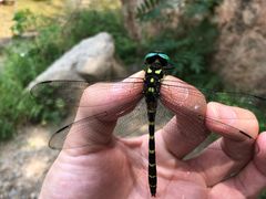 -碓臼峪自然风景区