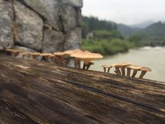 -天芳悦潭度假村温泉