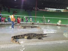 -是拉差龙虎园(Permanently closed)