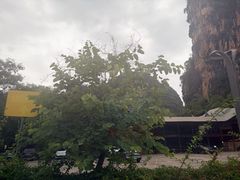 -明仕田园