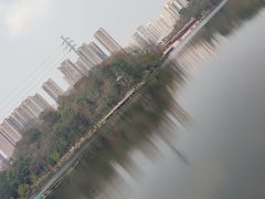 -重庆彩云湖湿地公园