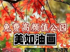 -中山公园