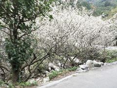 -广东天露山旅游度假区
