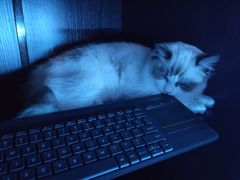 -零纪元VR体验馆·桌游(黄浦店)