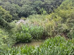 -南京市江宁方山