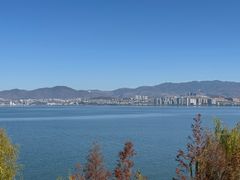 -洱海月湿地公园