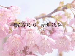 -南山植物园