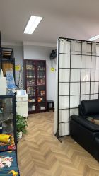-众刺纹画·纹身·穿孔饰品·海娜定制