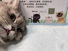 -守诺宠物医院·眼科· 特色牙科·异宠专科(虹口店)