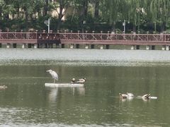 -中国农业博物馆