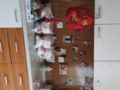 -瑞派雷欧宠物医院·中兽医·眼科·急重症转诊中心(黄台店)