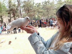 -美味居(古城店)