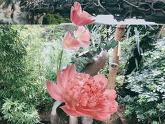 景点-大连森林动物园