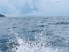 -广东惠东海龟国家级自然保护区