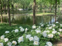 -石家庄市植物园