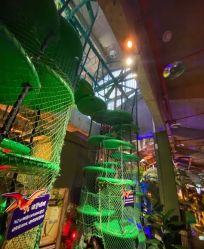 -恐龙探索乐园(磁器口店)