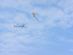 -杭州城北体育公园