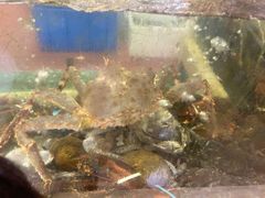-桃园盛宴·岭南粤菜·手工茶点(南庄店)