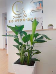点击看大图 -十月·日式美甲美睫·纹眉
