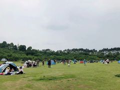 -秀丽东方