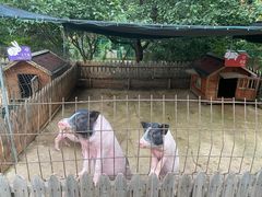 -清河半岛温泉度假酒店