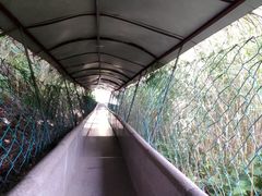 -洛阳白云山景区