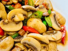小炒野苔磨-东哥紫阳蒸盆子(旺座·现代城店)