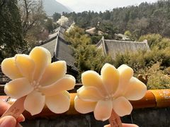 -潭柘寺景区