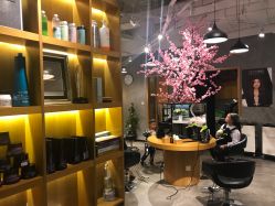 点击看大图 -时尚殿堂明星门店