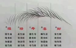-安吉拉青春化管理中心