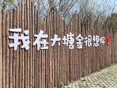 -大塘金香草谷