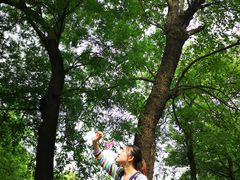 -艾溪湖湿地公园