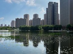 -仙女湖公园