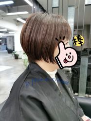 -蚂蚁造型俱乐部