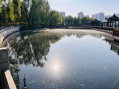 -莲花池公园