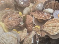 -三个渔夫·蒸汽海鲜(小白楼店)