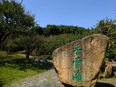 -香雪海