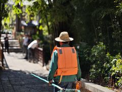 -黑龙潭公园
