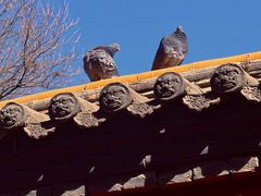 -大召无量寺