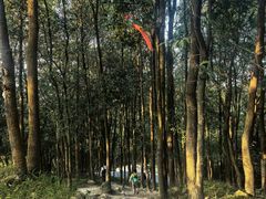 -广东药科大学(广州校区大学城校园)