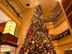 -深圳星河丽思卡尔顿酒店