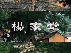 -杨家堂村